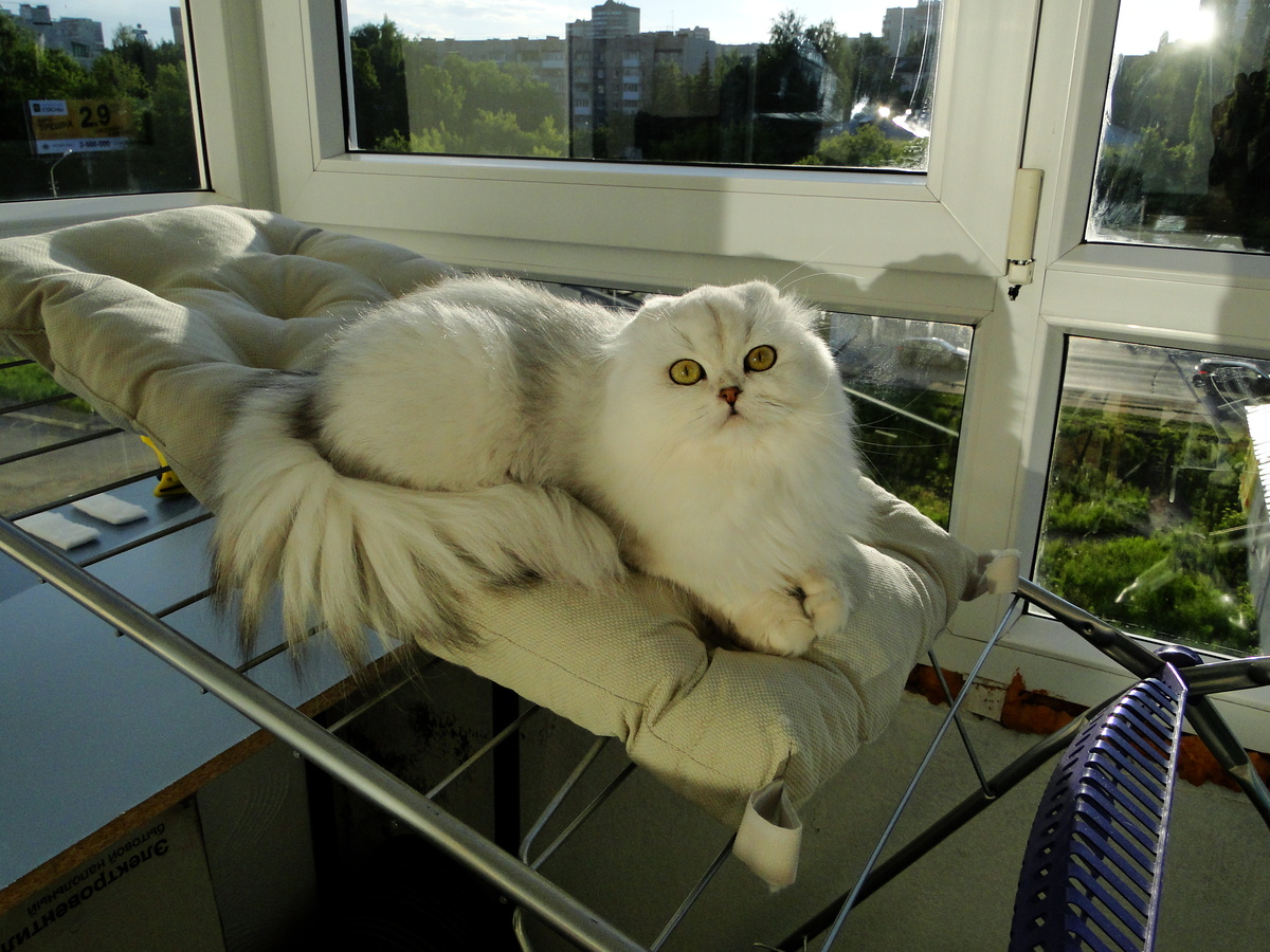 Фото из личного архива