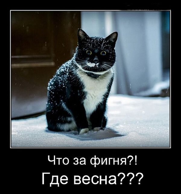 Не грустите, придет и к вам любовь)