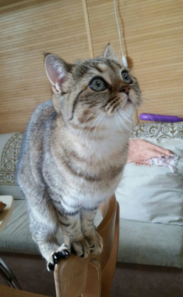 ФОТО ИЗ ЛИЧНОГО АРХИВА