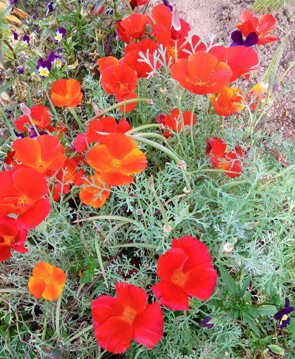 Фото автора. Листайте вправо.