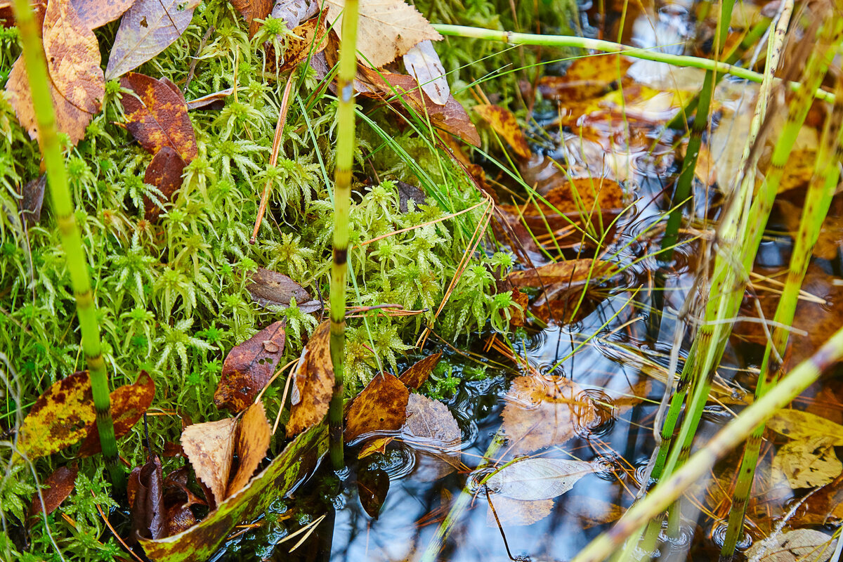 Источник: blog.sibmama.ru Автор: Aysa дневник