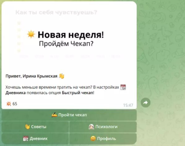 Вот так выглядит главный экран бота, который пользователь видит после онбординга
