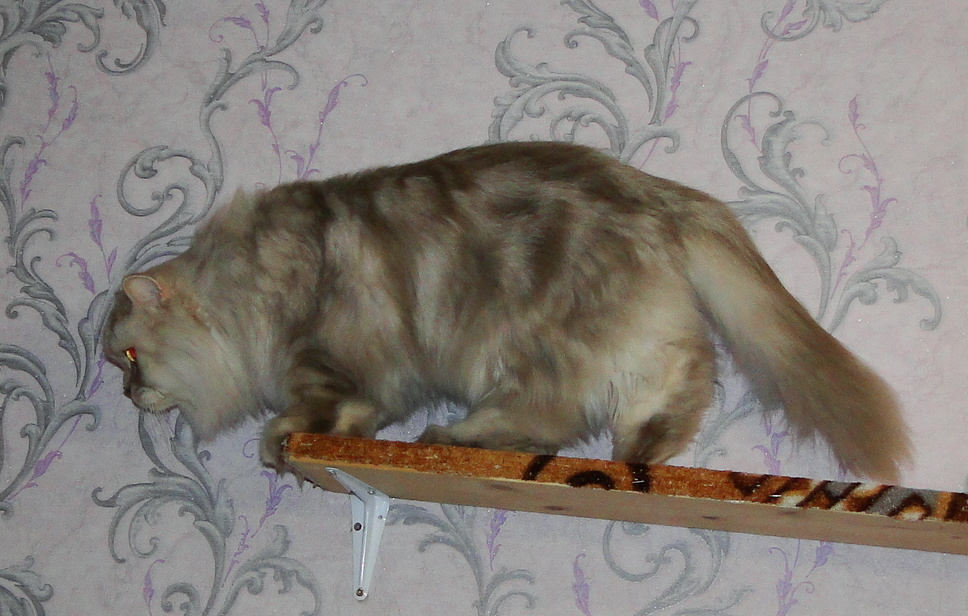 Фото из личного архива