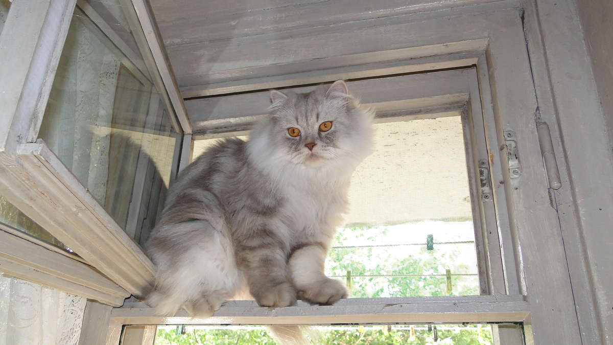 ФОТО ИЗ ЛИЧНОГО АРХИВА