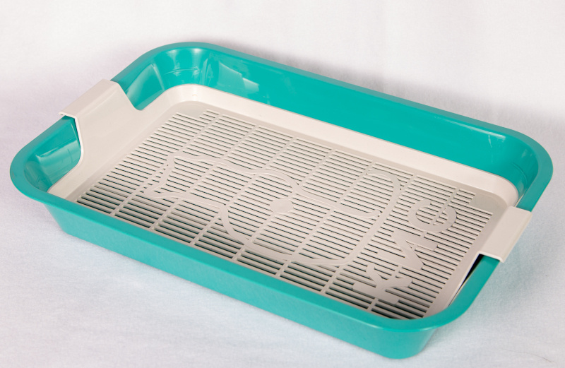 Фото из личного архива