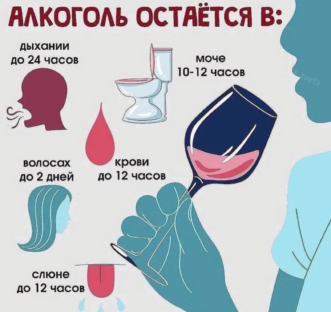 Алкоголь в крови, волосах, слюне, моче - это объект в объектах. Кровь как объект взимодействует с другим объектом (алкоголем).



♦
Чем вреден алкоголь человеку⁉️
Употребление алкоголя стало причиной 474 000 случаев смерти от сердечно-сосудистых заболеваний за первую половину 2024 года. Поскольку алкоголь является признанным канцерогеном, его употребление повышает риск развития нескольких видов рака, включая рак молочной железы, печени, головы и шеи, рак пищевода и колоректальный рак.
‼️ Почему не надо пить алкоголь⁉️
Алкоголь разрушает центральную нервную систему. Он изменяет функцию нервных клеток, проникая внутрь их. Каждый второй больной алкоголизмом имеет пораженную сердечно–сосудистую систему. Алкоголь поражает поджелудочную железу, влияет на печень, желудок, пищевод. Сильнее всего от алкоголя страдает человеческий мозг.
‼️ Чем вреден спирт для человека⁉️
Попав во внутренние органы, этанол проходит процессы окисления, а затем перерабатывается. Окисляясь, этиловый спирт разъедает ткани и клетки организма, приводя к образованию рубцов, язв, ожогов. Поврежденные ткани отмирают, а органы постепенно прекращают нормально функционировать. Надо понимать, что этанол содержит не только в крепких напитках, но и в винах тоже.
‼️ Чему больше всего вредит алкоголь⁉️
Алкоголь разрушает все органы человека, но больше всего поражает головной мозг, сердце и печень. Каждый раз при потреблении алкоголя, независимо от дозы, происходит разрушение клеток коры головного мозга, онемение и гибель отдельных его участков.
😊 Берегите себя! 💗
♦
https://www.facebook.com/bagasmihail/posts/pfbid0HUkfdNeYHNuaWThCRHeviYosSvB5JQYMRJevLChH4UwmhYnJz6UWiFXXreqdg49Al