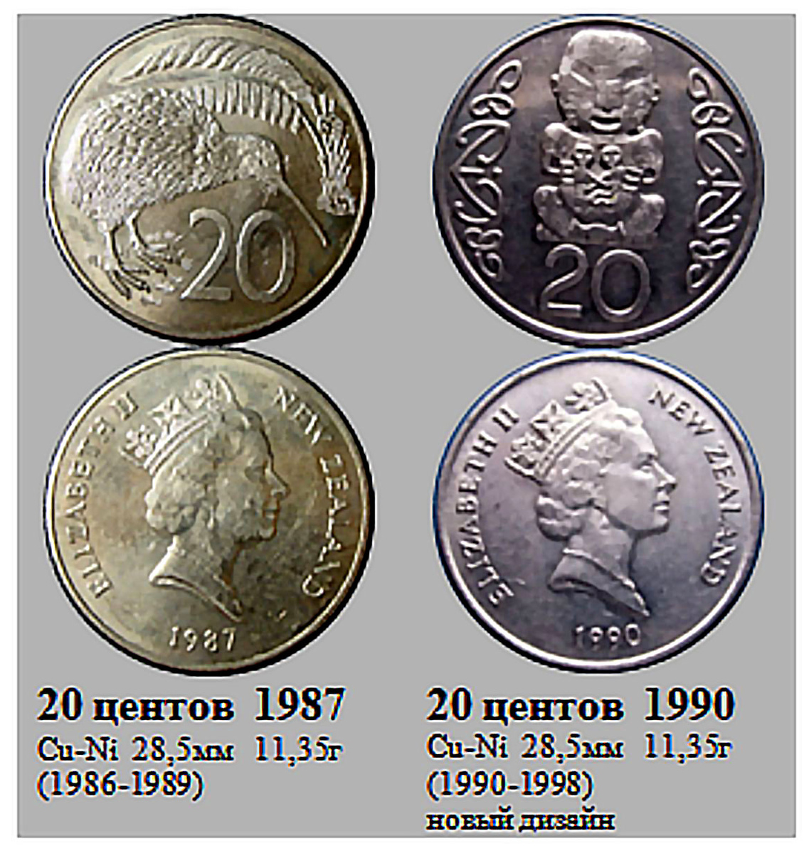 Фрагмент домашнего файла "Новая Зеландия". 