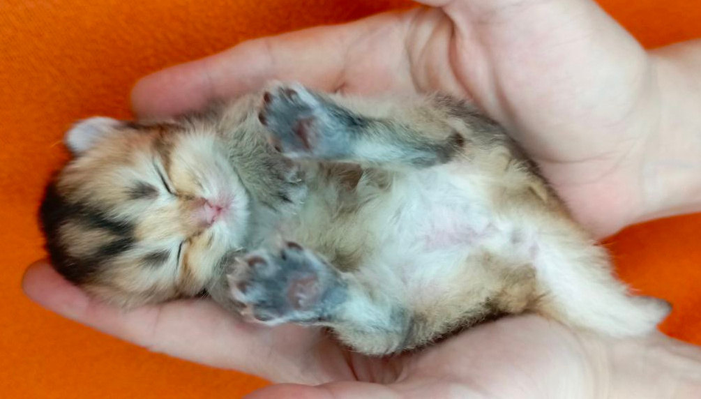 Фото из личного архива