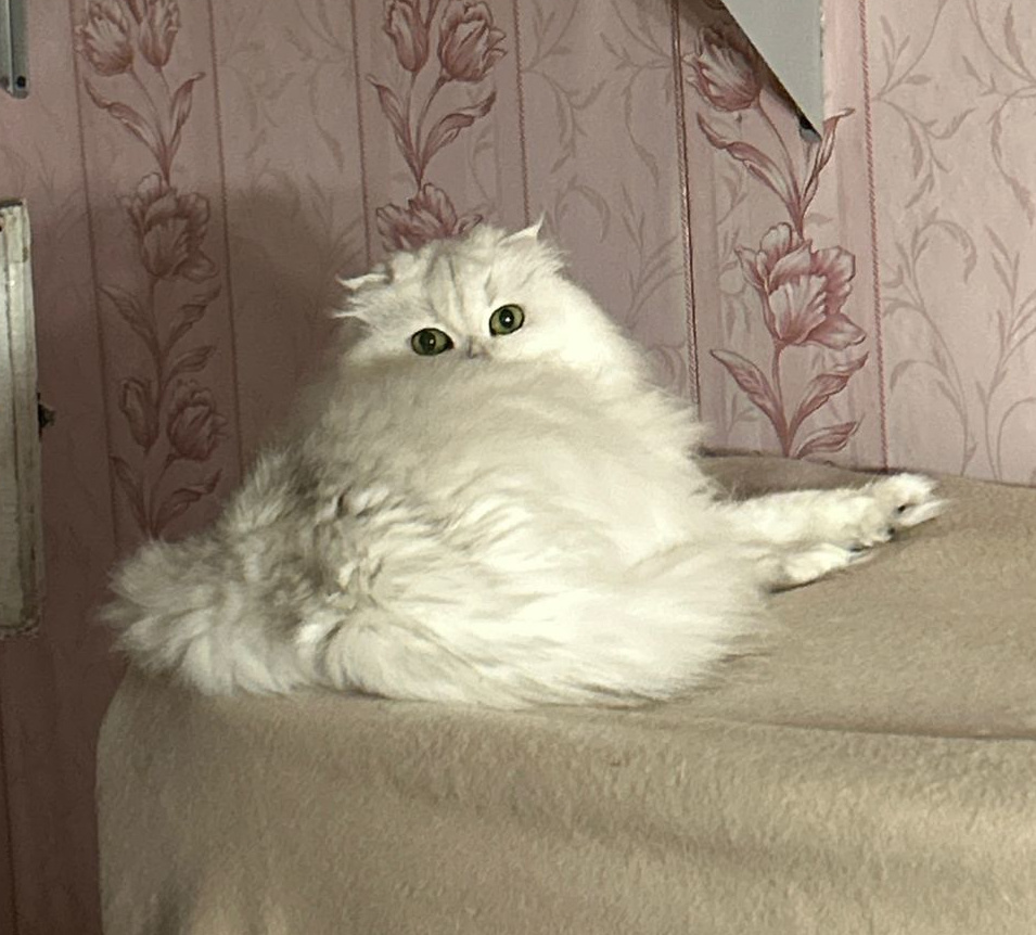 Фото из личного архива