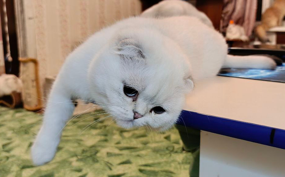 ФОТО ИЗ ЛИЧНОГО АРХИВА