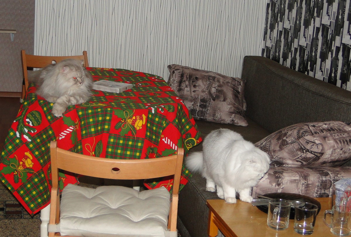 ФОТО ИЗ ЛИЧНОГО АРХИВА