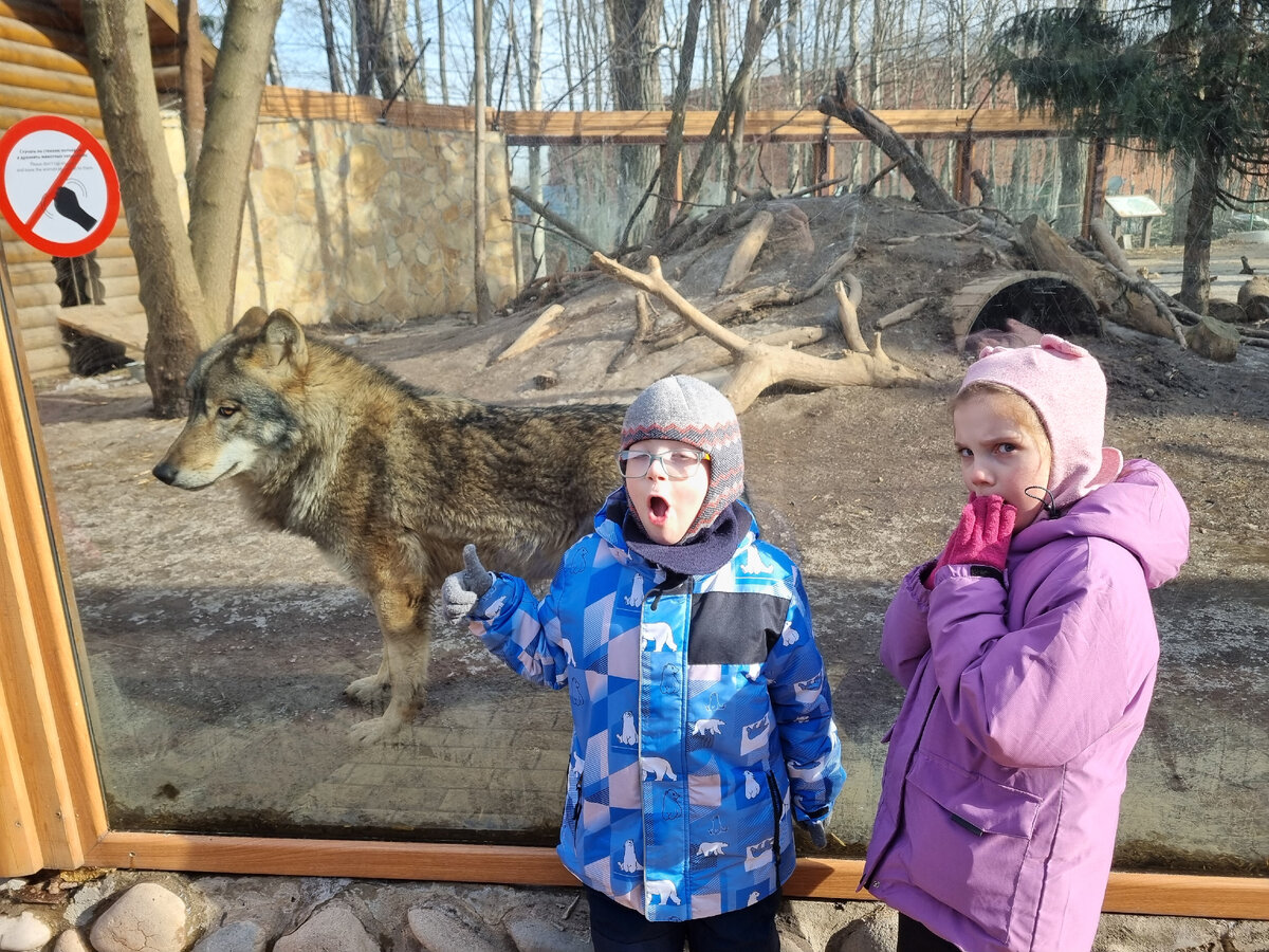 Вольер с волками