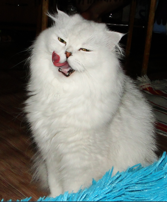 Фото автора