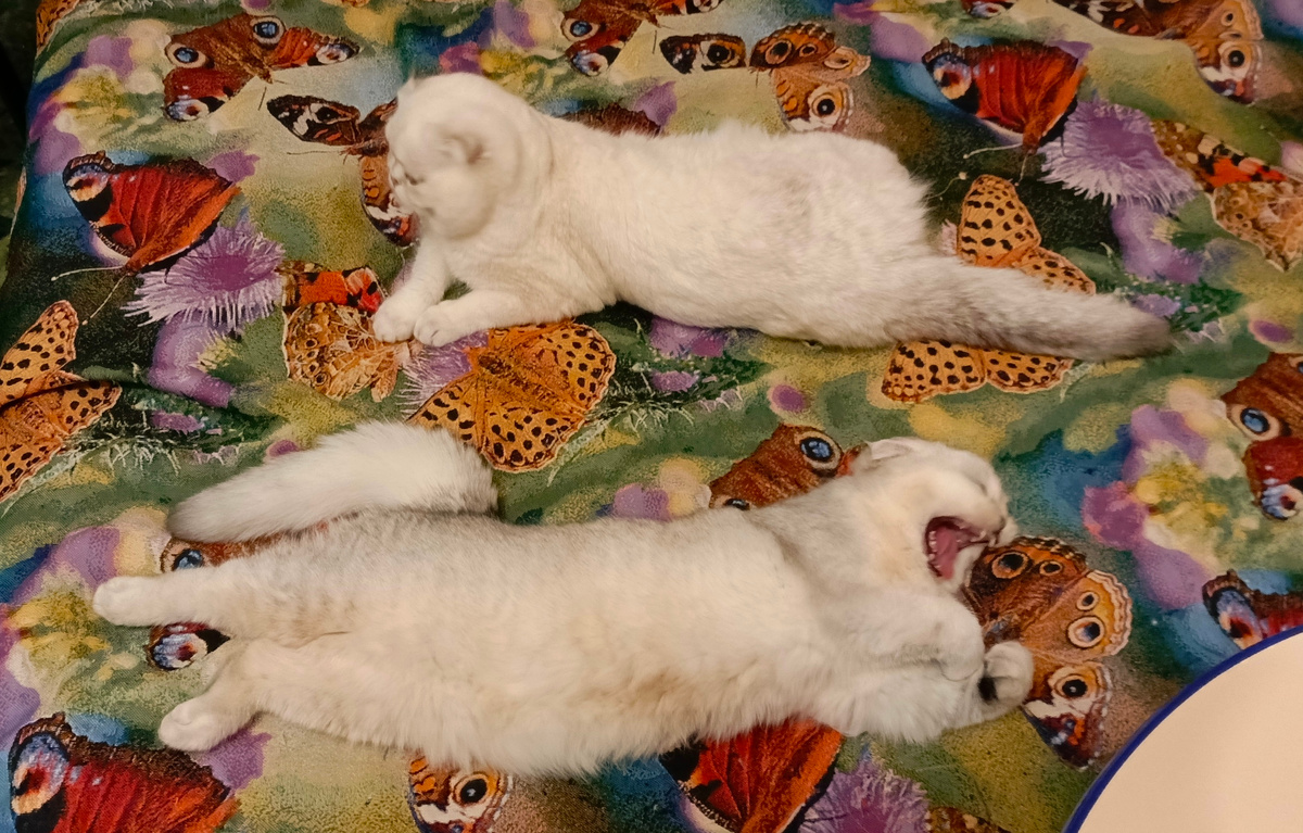 ФОТО ИЗ ЛИЧНОГО АРХИВА