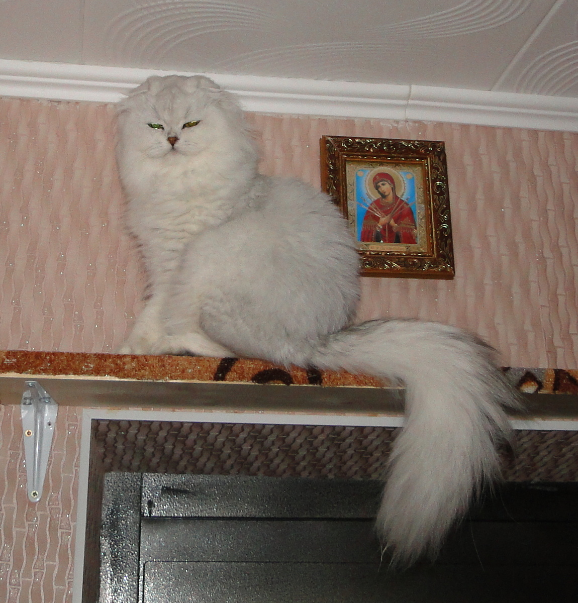 ФОТО ИЗ ЛИЧНОГО АРХИВА