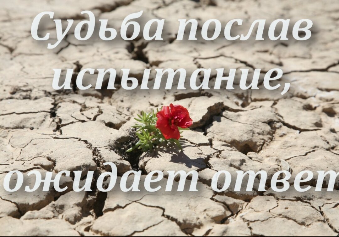 Картинка взята из интернета 