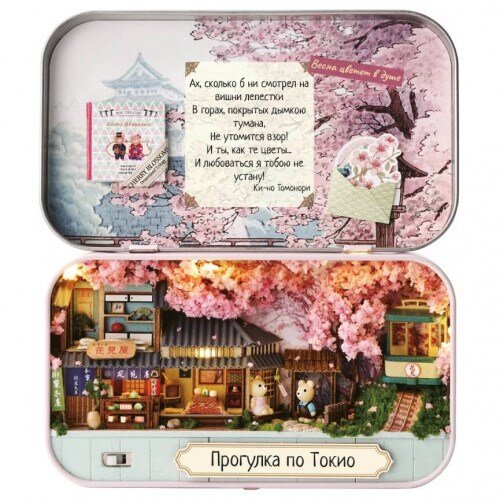 Румбокс «Прогулка по Токио»