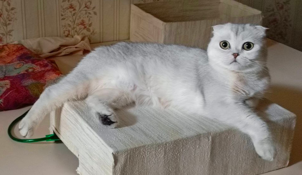 Фото из личного архива