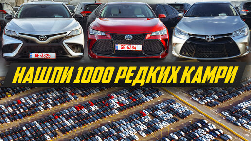 Огромное поле невиданных Toyota Camry на миллионы – цены на Тойота Камри в Грузии #ДорогоБогато