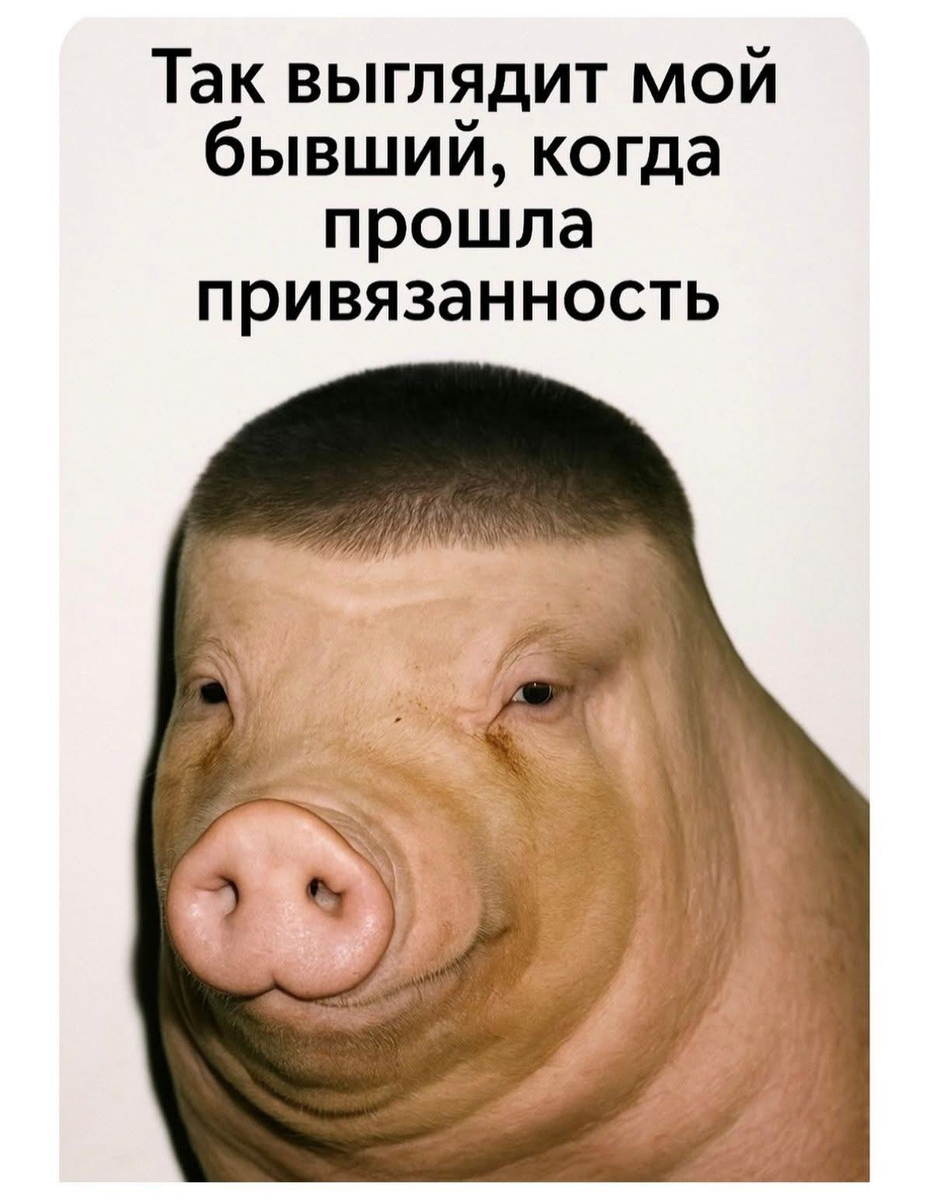  Чем отличается зависимость от привязанности?  ♦ https://www.facebook.com/groups/memep/posts/2145513529312302/