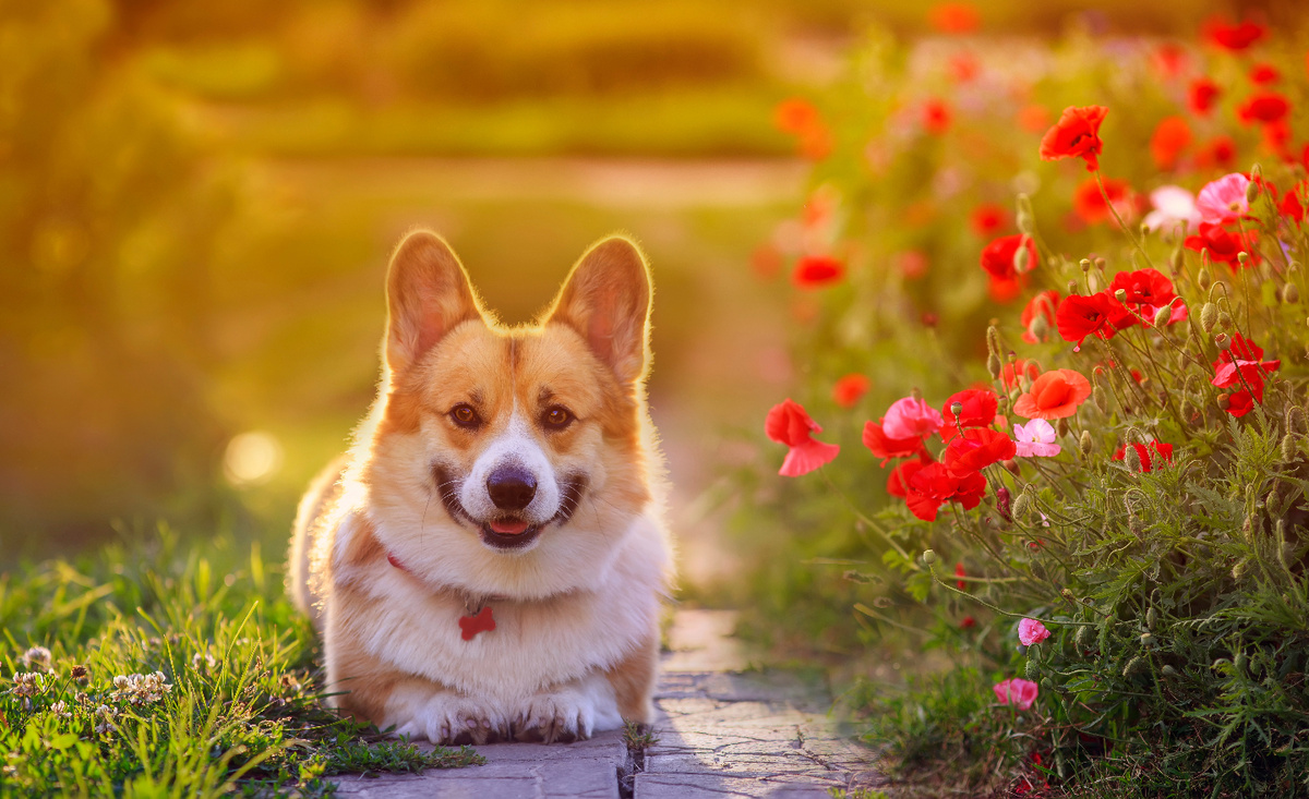  
    Фото: Shutterstock.com