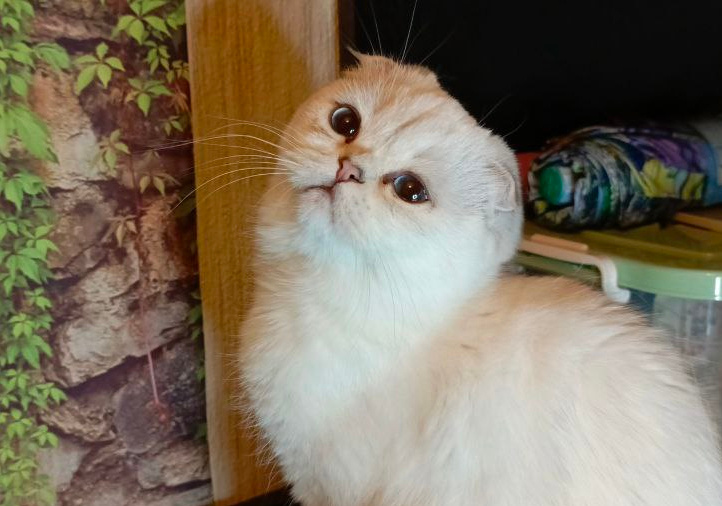 Фото из личного архива