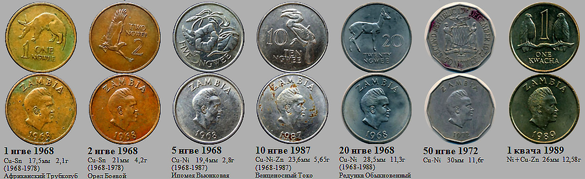 Фрагмент домашнего файла "Замбия". 