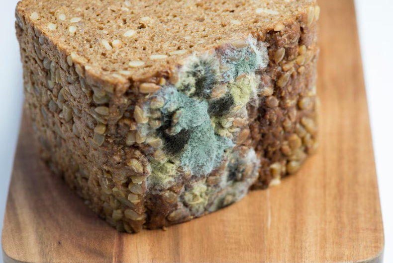 © photo credit by ru.freepik.com