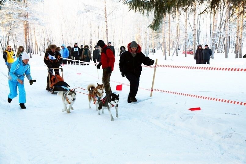Источник: Фотоархив Федерации ездового спорта