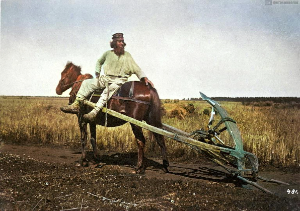 Конная косилка в Костромской слободе