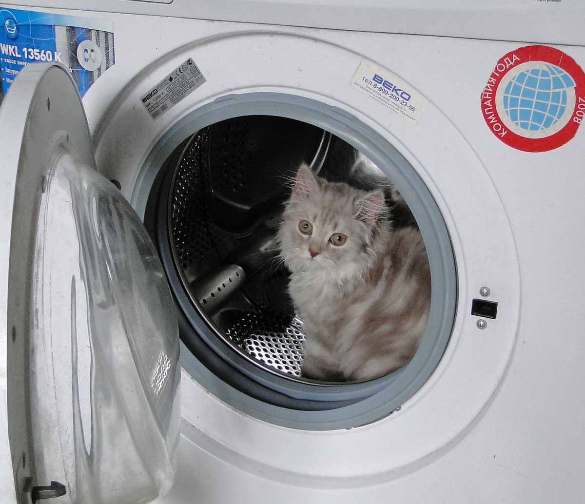 ФОТО ИЗ ЛИЧНОГО АРХИВА