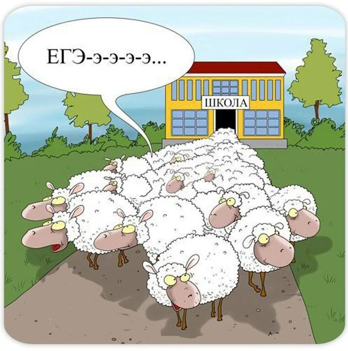 Рисунок из сети интернет, свободный доступ.