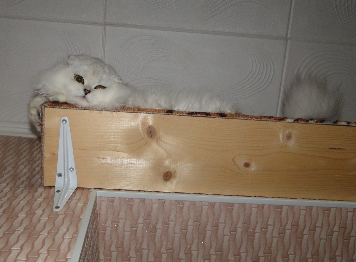 ФОТО ИЗ ЛИЧНОГО АРХИВА