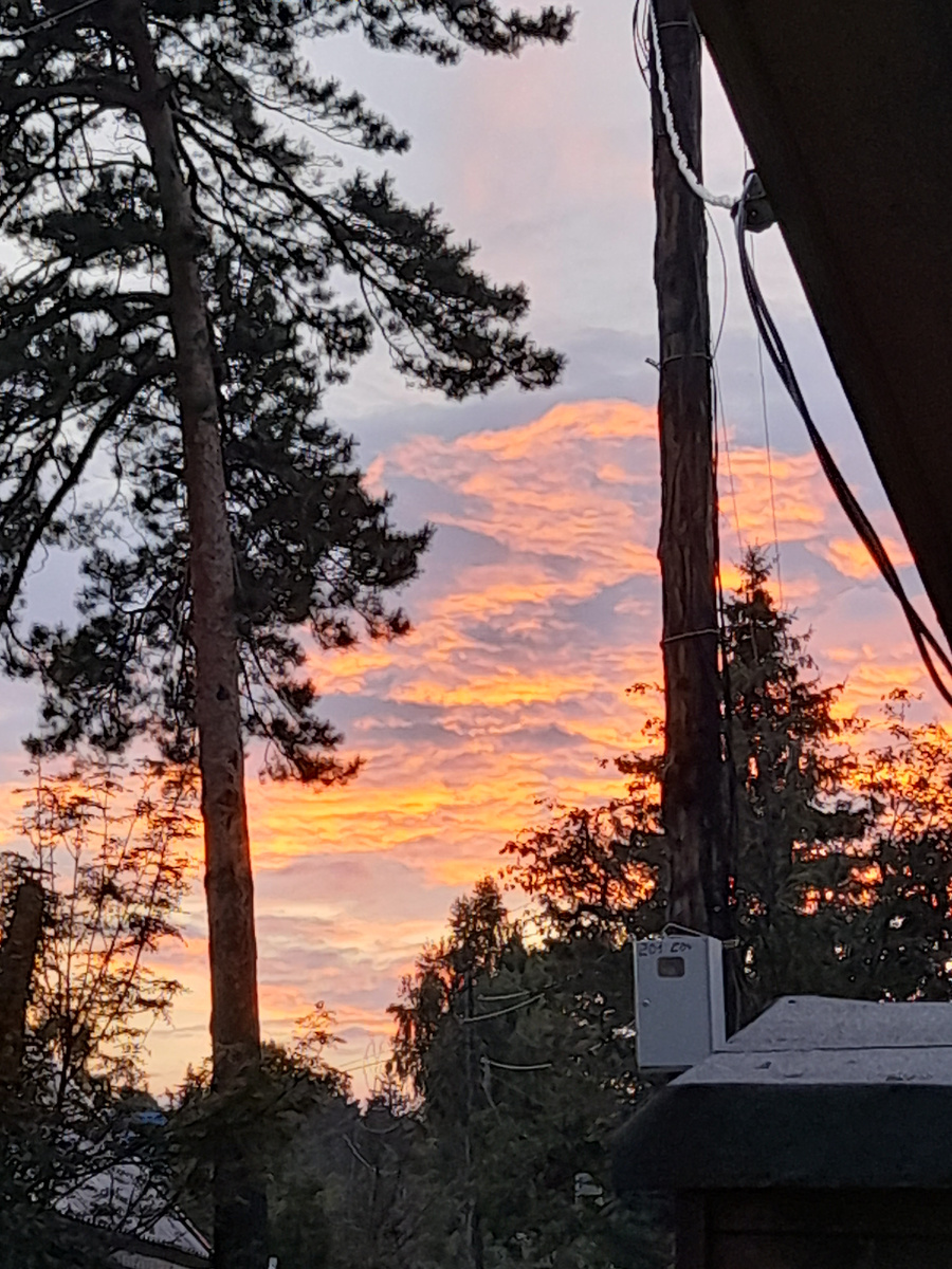 Фото автора.  Закат на даче 