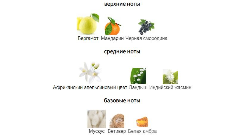 fragrantica.ru