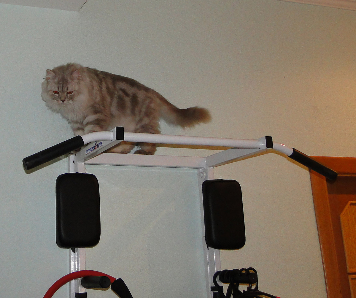 Фото из личного архива