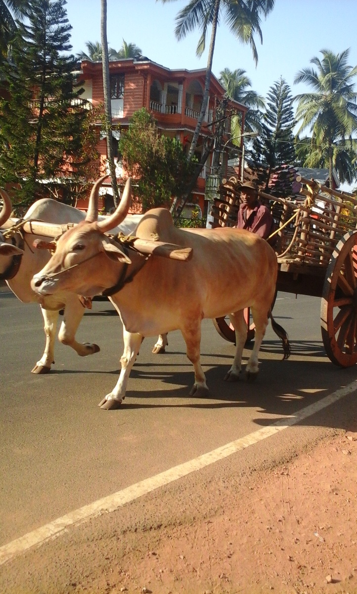 Такой транспорт еще использовался