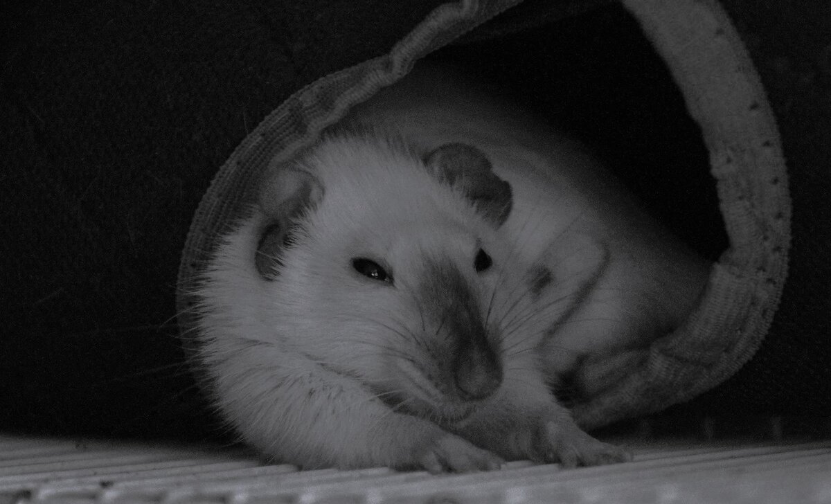 Based on photo by Oxana Golubets, unsplash.com.