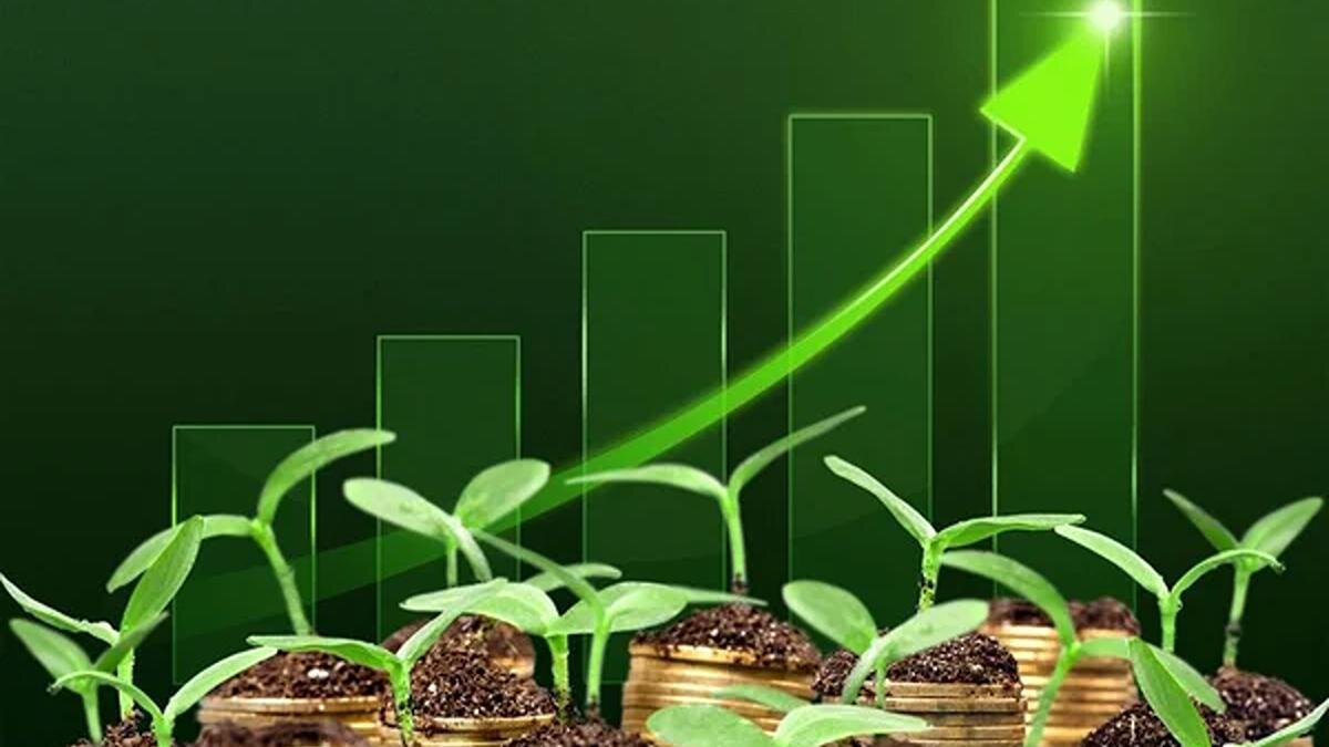    График роста, монеты, ростки:Depositphotos