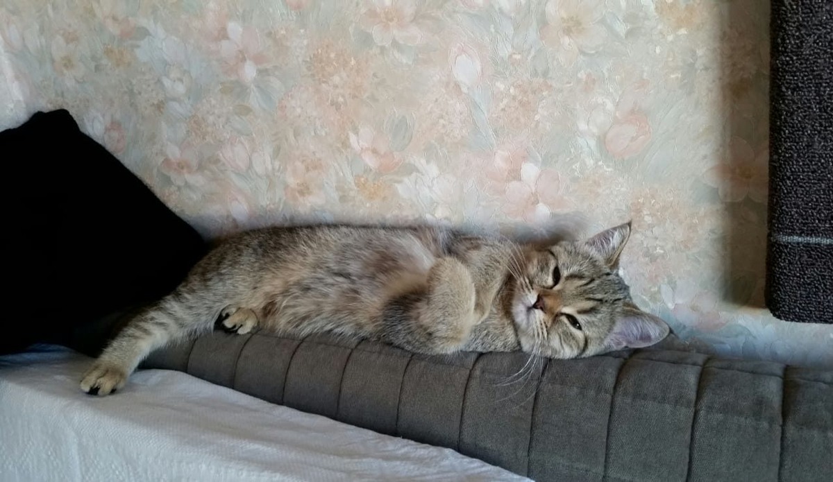 ФОТО ИЗ ЛИЧНОГО АРХИВА