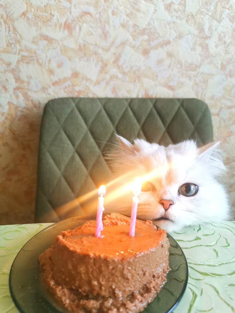 -2