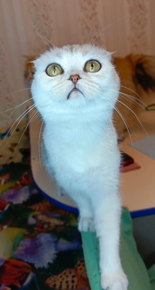 Фото из личного архива