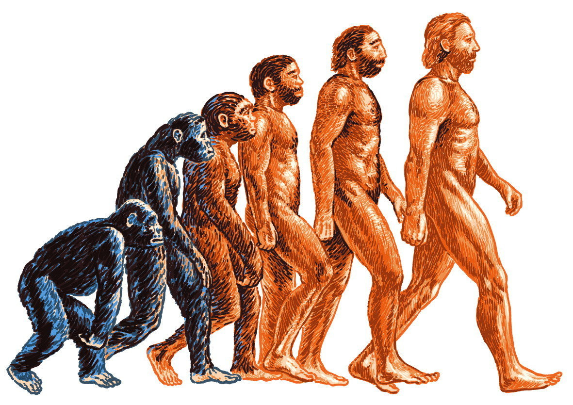 Теория эволюции Дарвина. Эволюция Дарвин хомо. Теория Дарвина о эволюции человека.