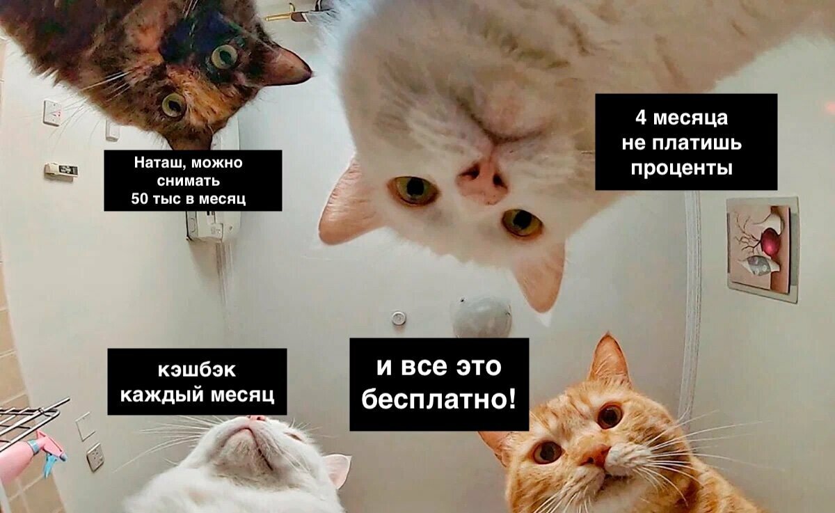 Добавьте описание