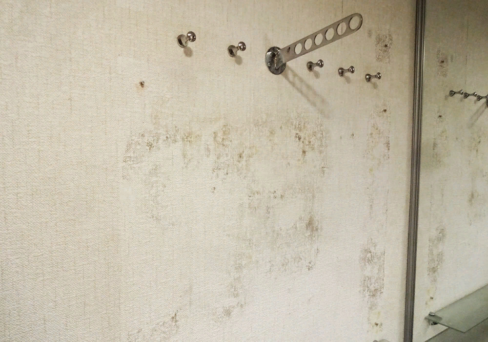 Стена немного заплесневела