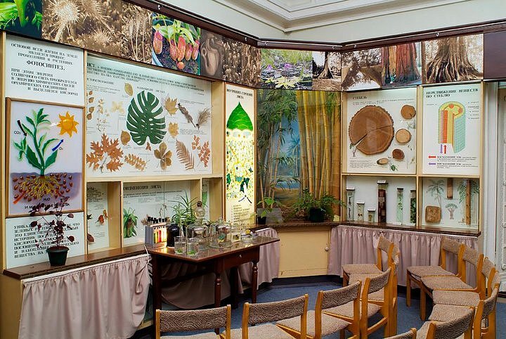 Источник: wikipedia.org Автор: Sakrob CC BY-SA 3.0 