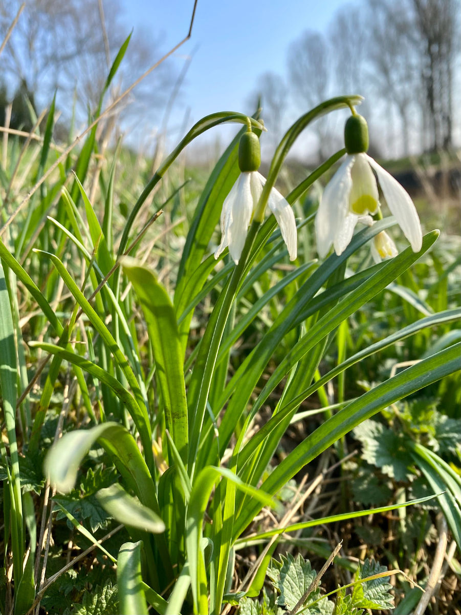 Дорогою цветов, личное фото