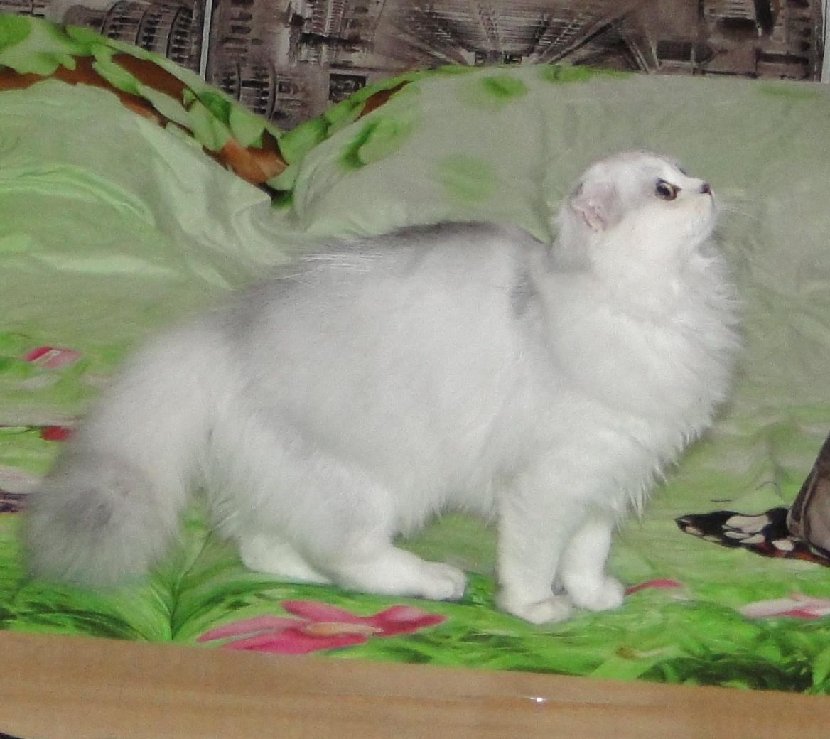 Фото из личного архива