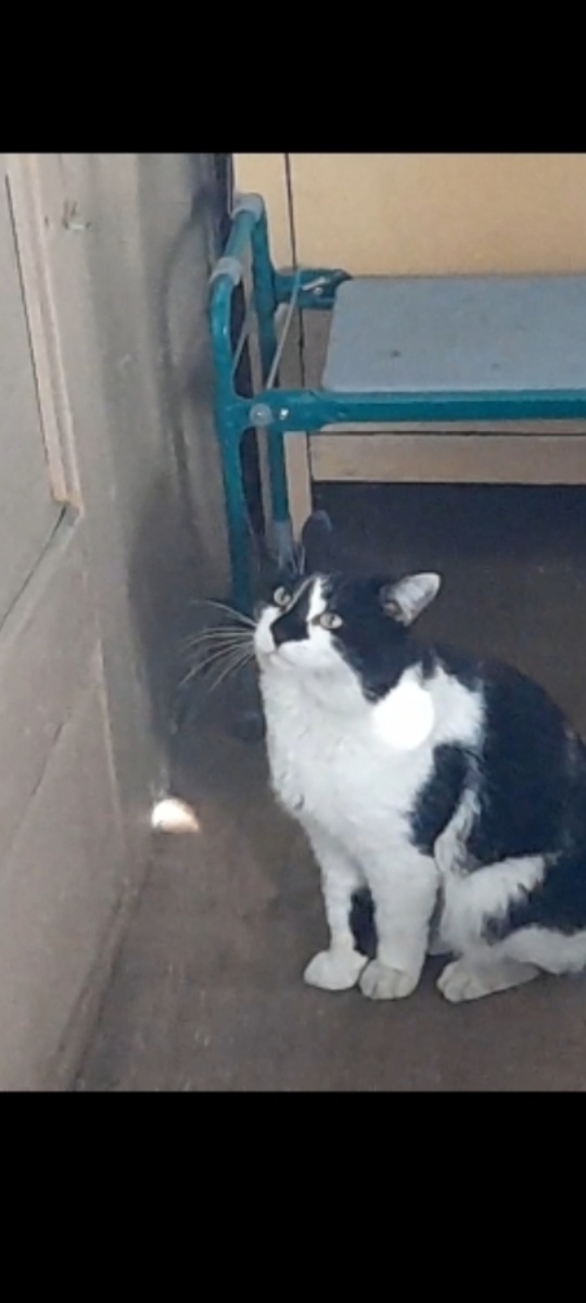 Скрин автора из видео. Надо бежать