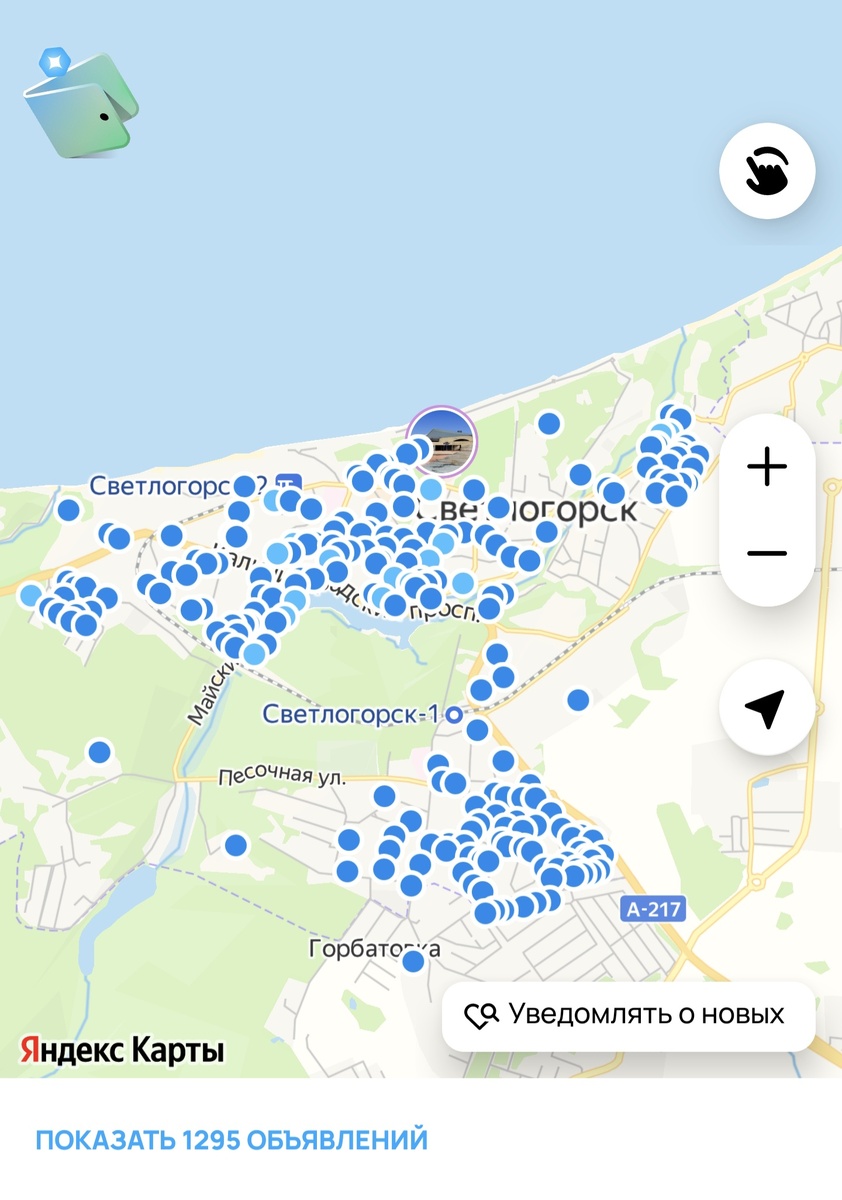 1295 объявлений на авито Светлогорск 